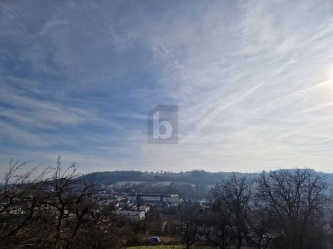 Bad Schallerbach Bauernhöfe, Landwirtschaft, Bad Schallerbach Forstwirtschaft