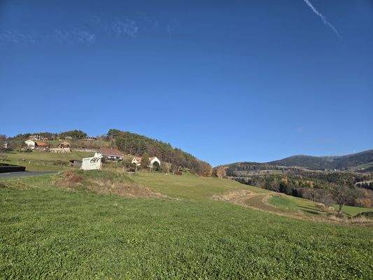 WhatsApp Image 2025-11-20 at 12.36.38 (3).jpeg