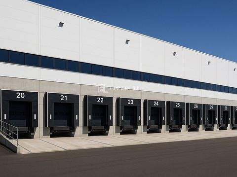 Langenfeld Halle, Langenfeld Hallenfläche