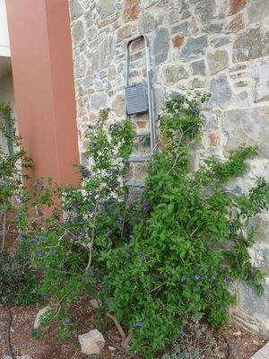 Südostkreta, Lagkada: Schöne Villa mit Meerblick zu verkaufen