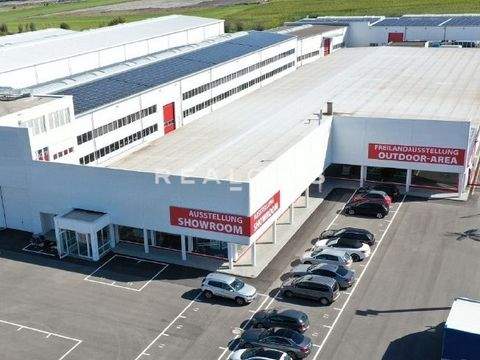 Deißlingen Halle, Deißlingen Hallenfläche