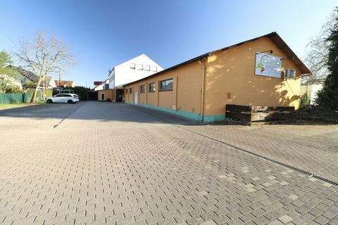 Hochdorf-Assenheim Halle, Hochdorf-Assenheim Hallenfläche