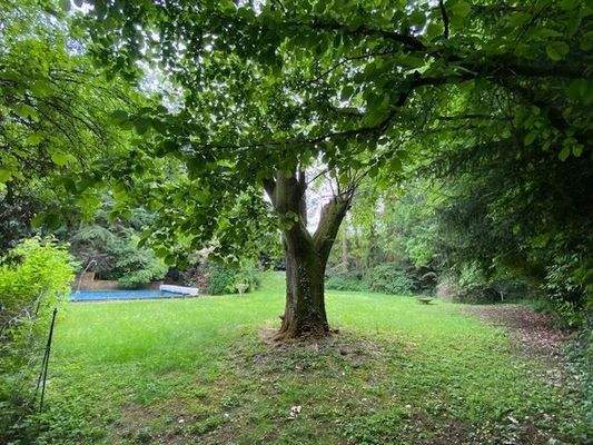 Garten Blick zum Pool