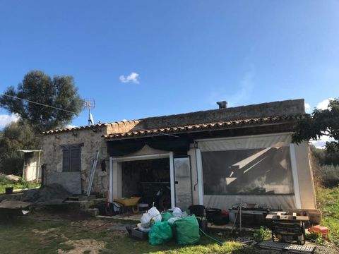 Llubi Häuser, Llubi Haus kaufen