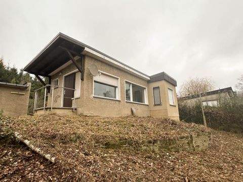 Eisenberg Häuser, Eisenberg Haus kaufen