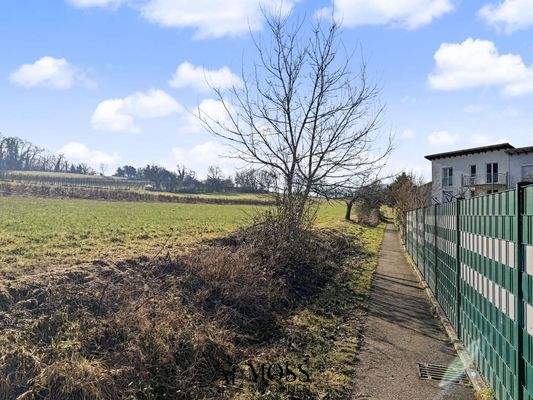 Landschaft direkt neben der Anlage