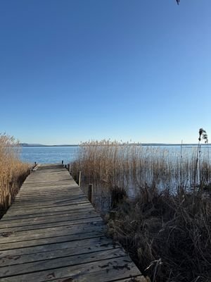 IMG_3065.jpg