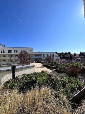 Blick aus dem Fenster zum Dachgarten!.jpg