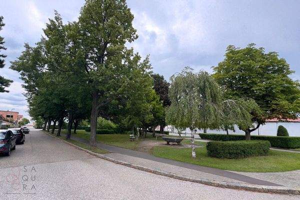 Image Sep 3, 2025, 11_21_53 PM