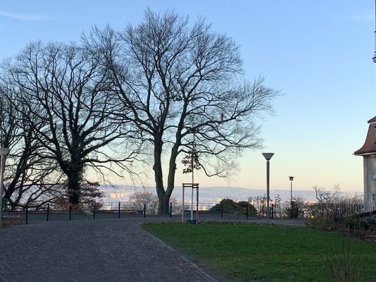 Blick über Dresden