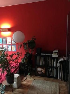 Wohn-und-Schlafzimmer_6.jpeg