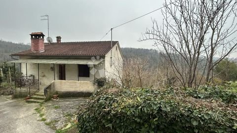 Pazin Häuser, Pazin Haus kaufen