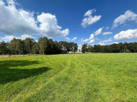 Bispingen Bauernhöfe, Landwirtschaft, Bispingen Forstwirtschaft