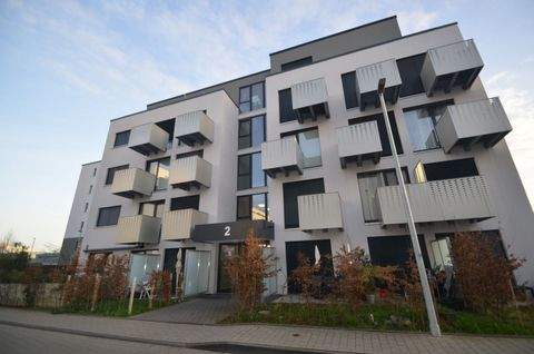 Wesseling Wohnungen, Wesseling Wohnung mieten