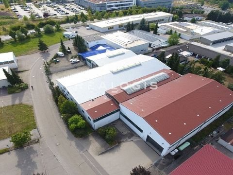 Wimsheim Halle, Wimsheim Hallenfläche