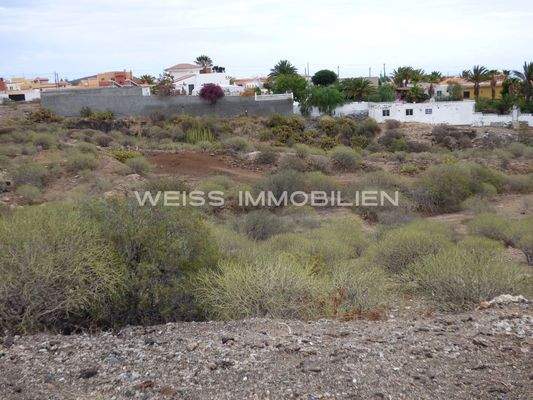 Weitläufiges Grundstück 