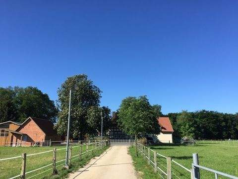 Martfeld / Kleinenborstel Häuser, Martfeld / Kleinenborstel Haus kaufen