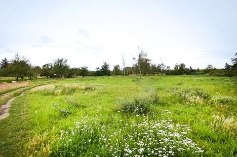 Hausneindorf Grundstücke, Hausneindorf Grundstück kaufen