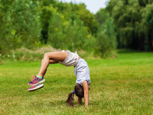 inkl. Grundstücksservice