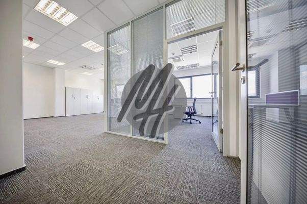 INFOS UNTER: 06171-586000