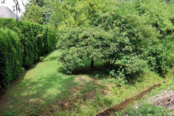 Talbach am Grundstück