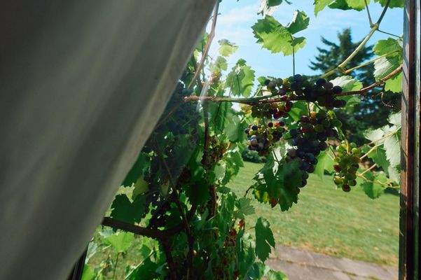 Erdgeschoss, Ausblick in Ihren Garten 