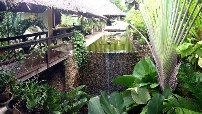 Koiteich im Wohnbereich