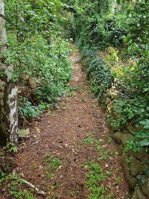 Weg im parkähnlichen Grundstücksteil