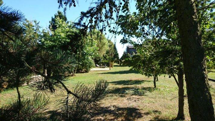 Teilansicht hinterer Garten