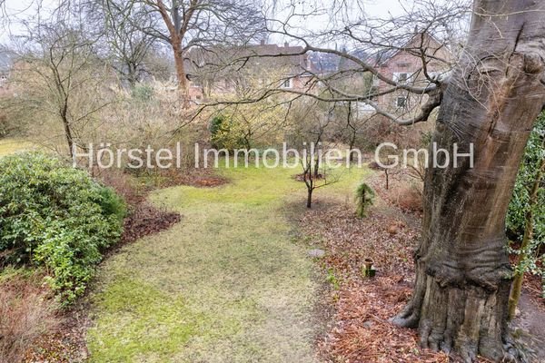 Blick in den Garten gegen Süden