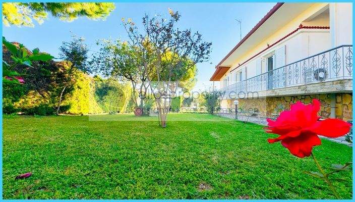 179d0138f7f640ea92f0d13f59c42e1d-original