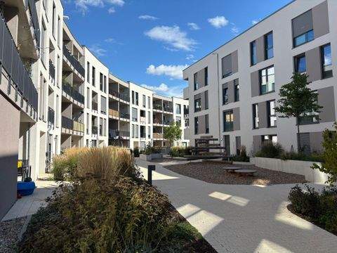 Mainz Wohnungen, Mainz Wohnung mieten