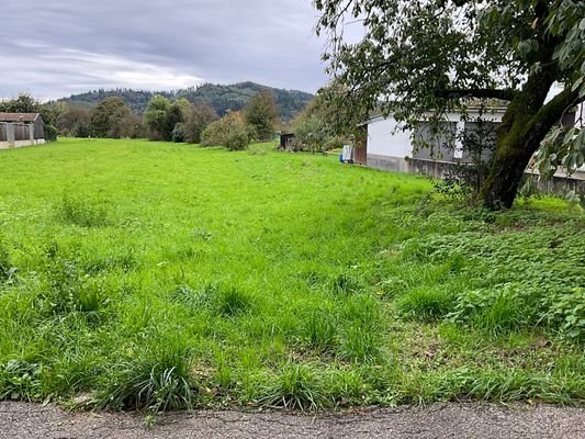 Blick von der Straße nach Süden