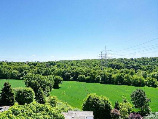 Sehr viel Grün herum!