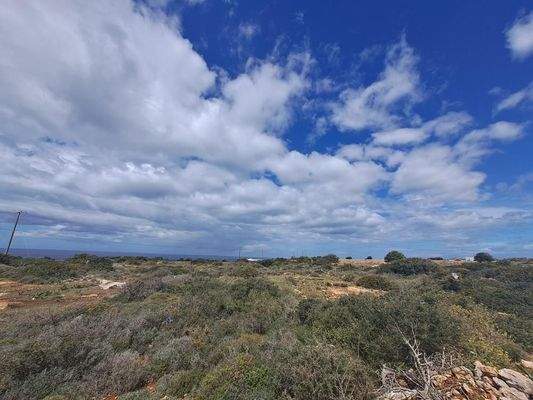 Kreta, Skaleta: Riesiges Grundstück zum Verkauf - ideal für touristische Investitionen!