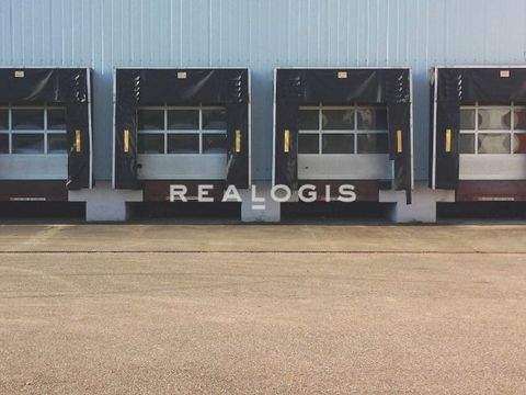 Speyer Halle, Speyer Hallenfläche