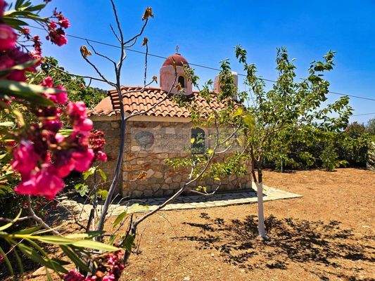 img_1c177255-05fb-49ca-b213-1c5ca2184532