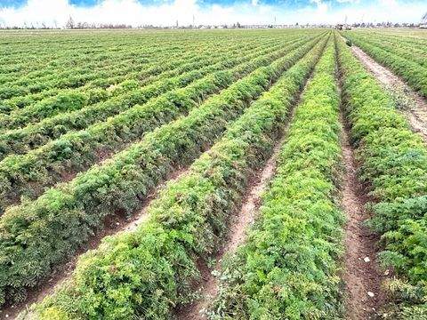 Erftstadt Bauernhöfe, Landwirtschaft, Erftstadt Forstwirtschaft