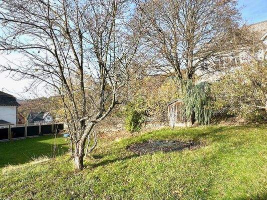 Apfel- und Pflaumenbäume