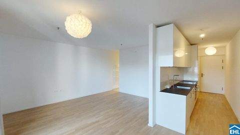 Wien Wohnungen, Wien Wohnung mieten