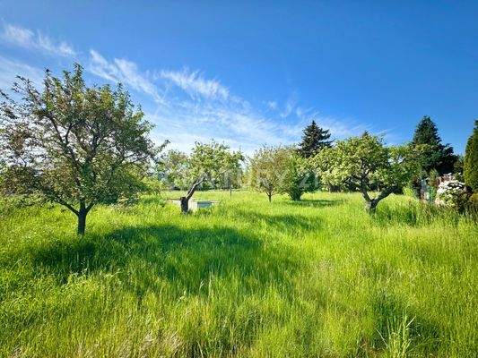 Großzügiges Gartengrundstück