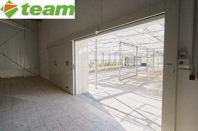 Zugang zur Glashalle