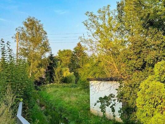 Wasser ist auch da (1)