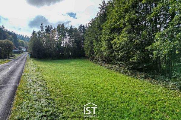 Grünlandgrundstück