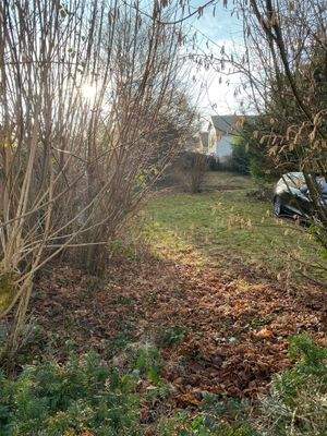 Blick von der Amthausstraße