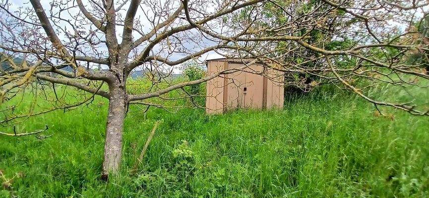 Ansicht von der Straße