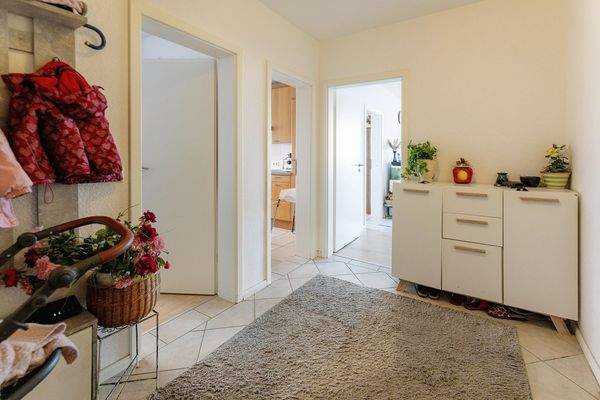 SINKO Buchenknick-30.jpg