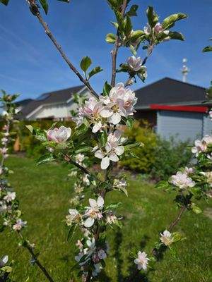 Frühling genießen