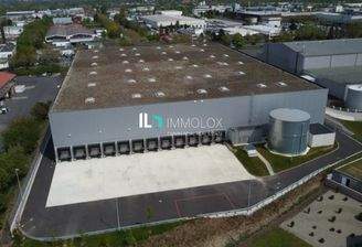 Telefon: 069 50699990