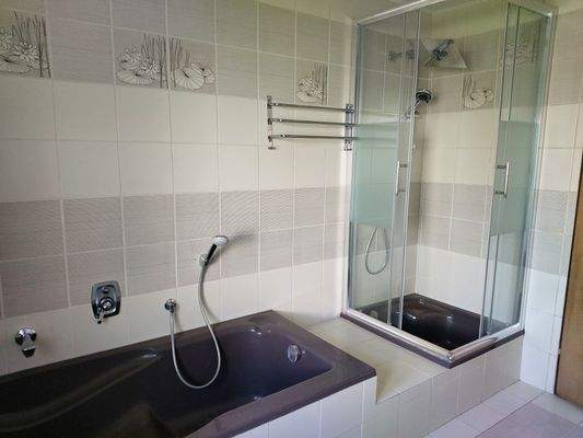 Badezimmer Hauptwohnung